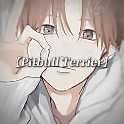 🎧 Pitbull Terrier