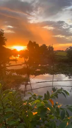 Bình minh sáng tươi.