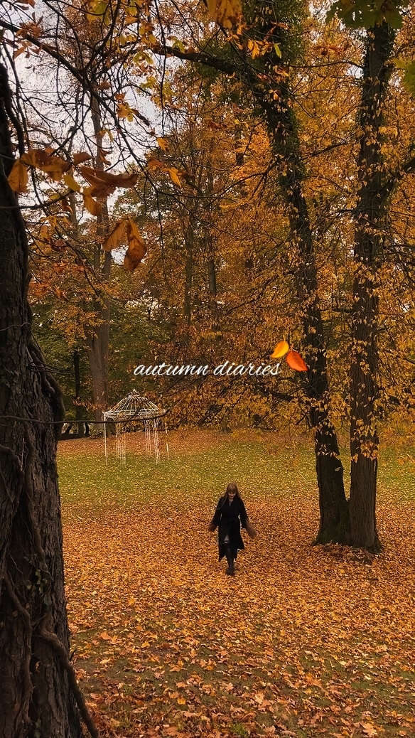 Herbst-Tagebücher