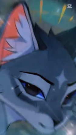 Jaką jest jeszcze ko