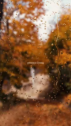 autumn is coming
