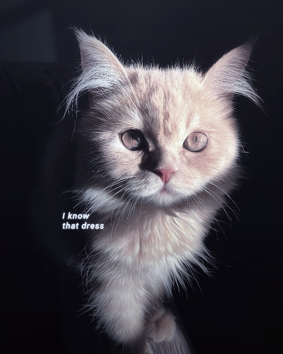 just want attention 
