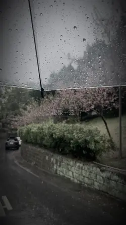歌名:無言花