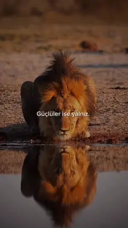 Güçlüler yalnız. 