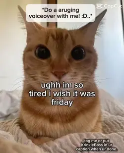 @krinkleboss