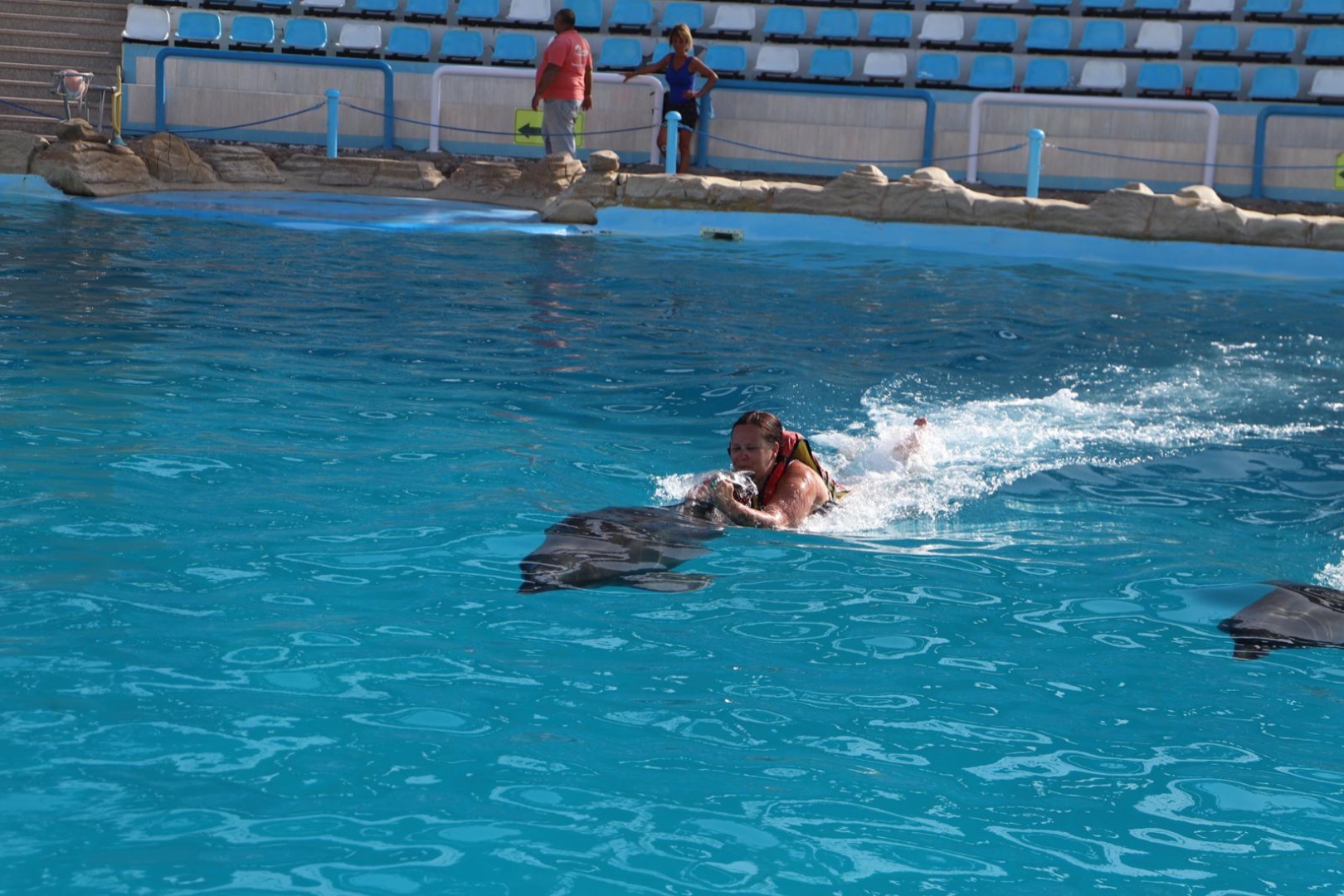 Delfines