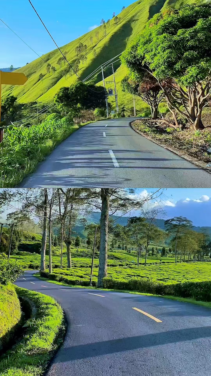 2 video collage