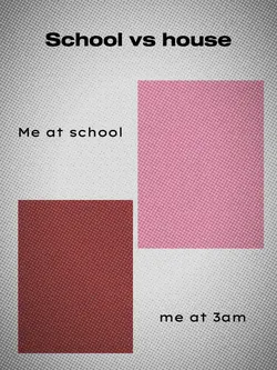 me at school & house