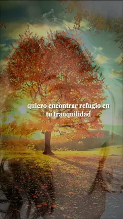 que tu paz inunde mi