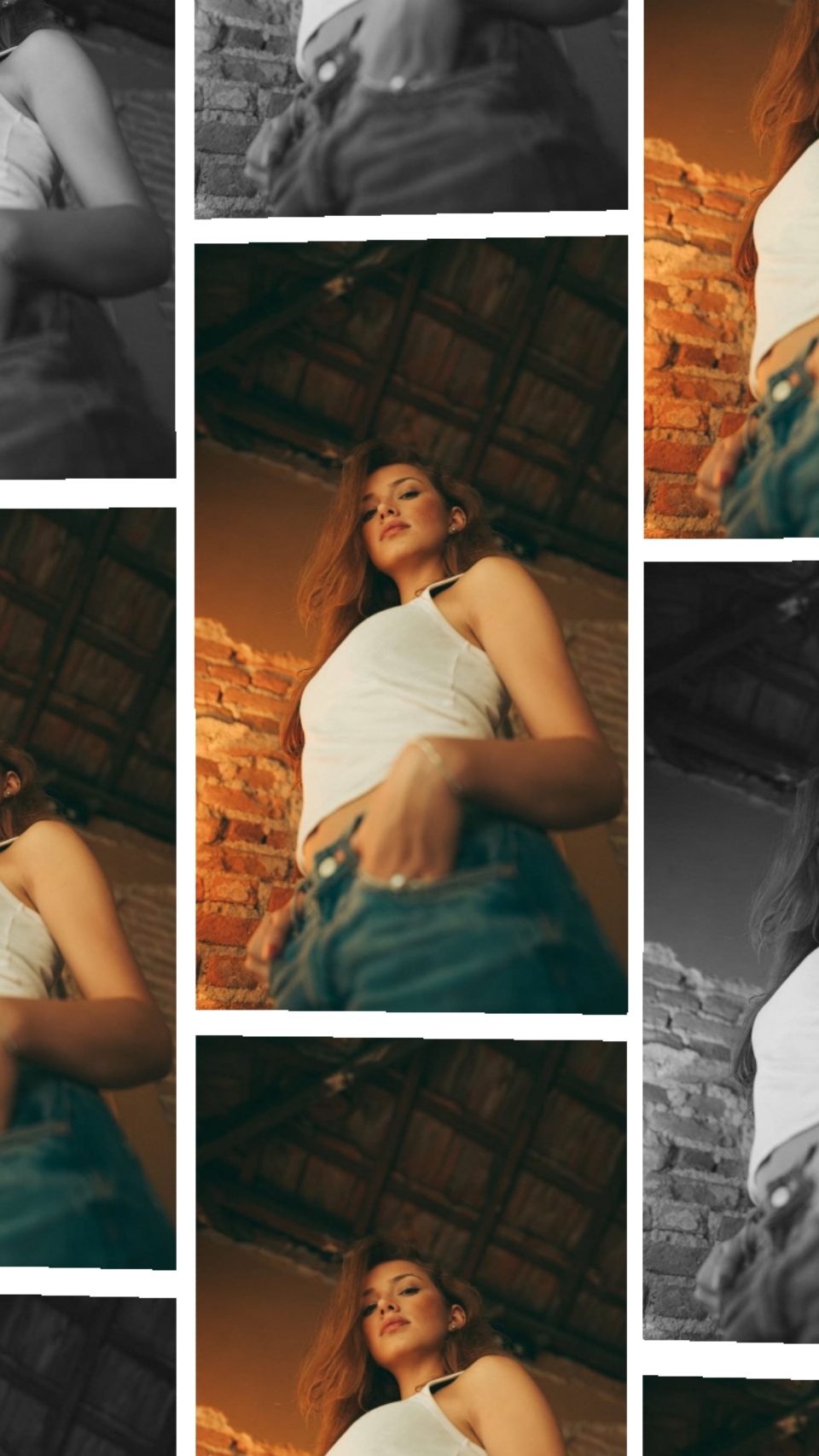 Modelo Pro