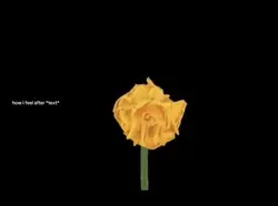 flower trend