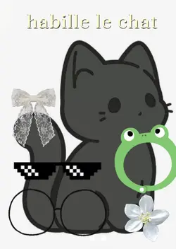 habille le chat