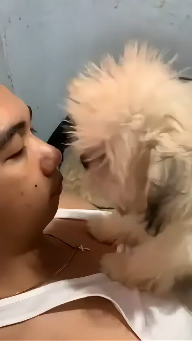 puppy love