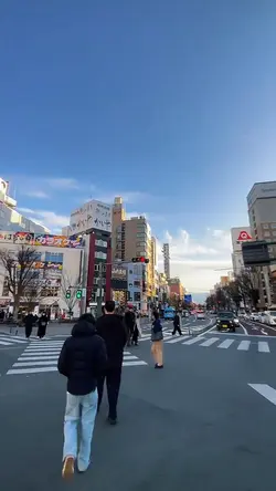 1 VID JERNIH HD 