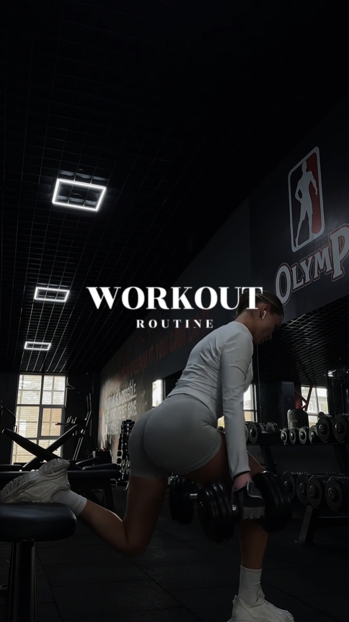 workout Routine 