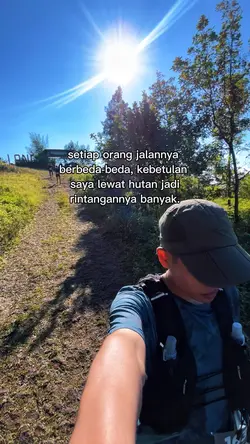 lewat hutan