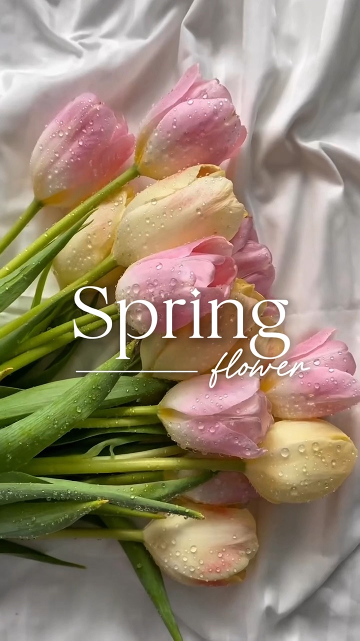 Flor de primavera 🌷