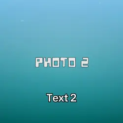 INS #2