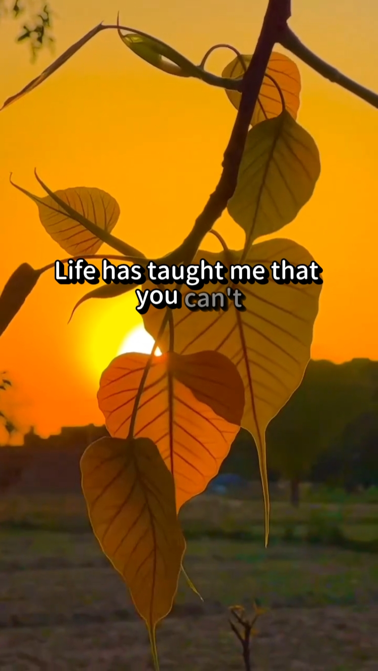 La Vida Me Enseñó