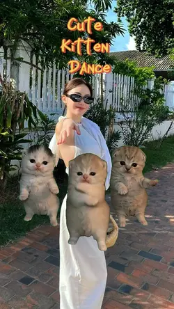 CUTE KITTEN DANCE