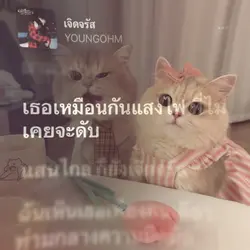 เจิดจรัส