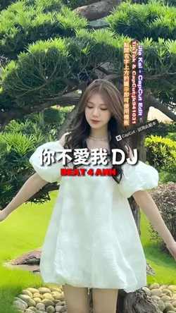 你不愛我 DJ