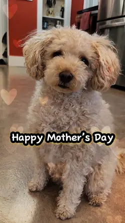 Mother’s Day 