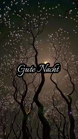 Gute Nacht 🌙😘💤 