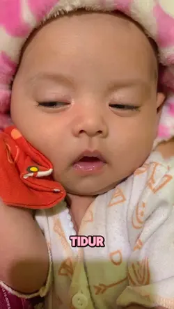 Tidur makan eek