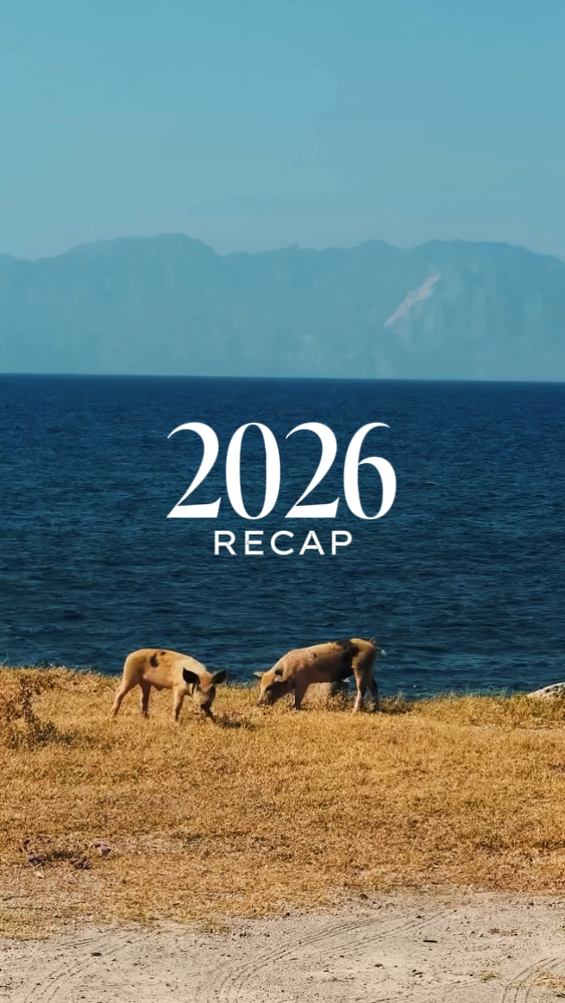 2026 recap