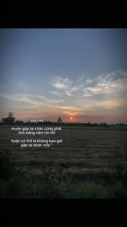 1 video + caption