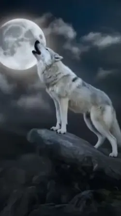 Benner PK Serigala 2