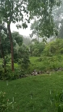 Ta caindo chuva kkkk