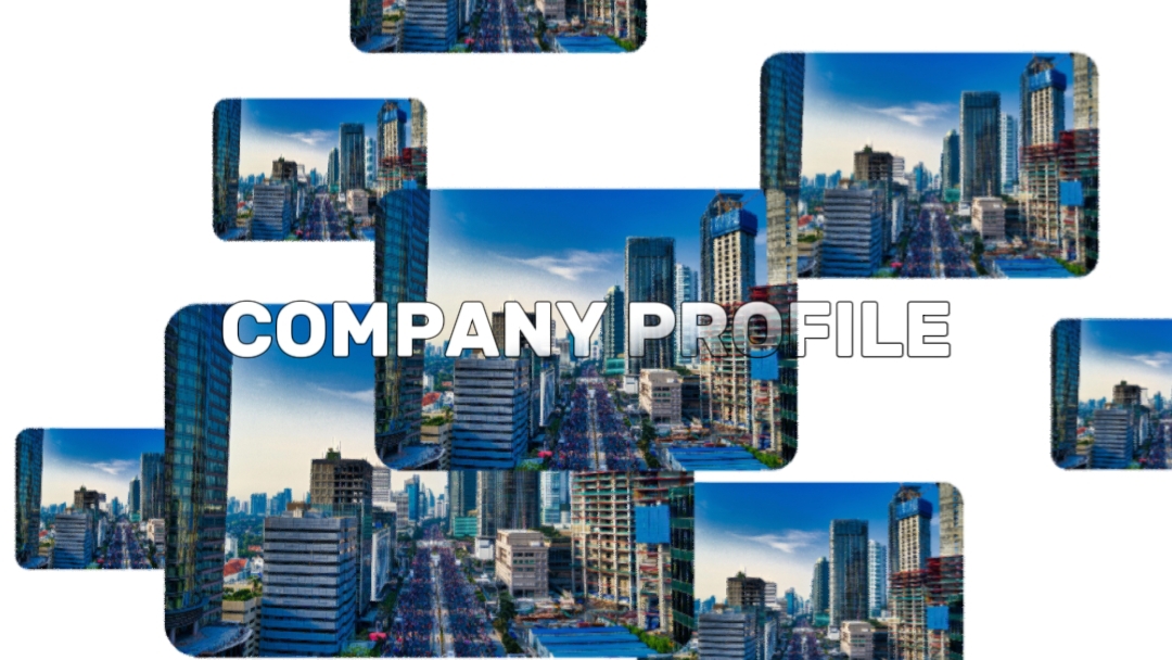 company profile