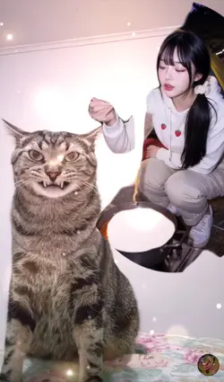 Cat Wants a Bite