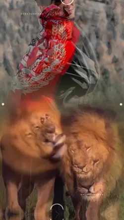 موژ دوه ملګري ازمري 