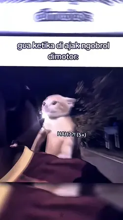 Ngobrol dimotor