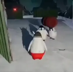 meme pingu