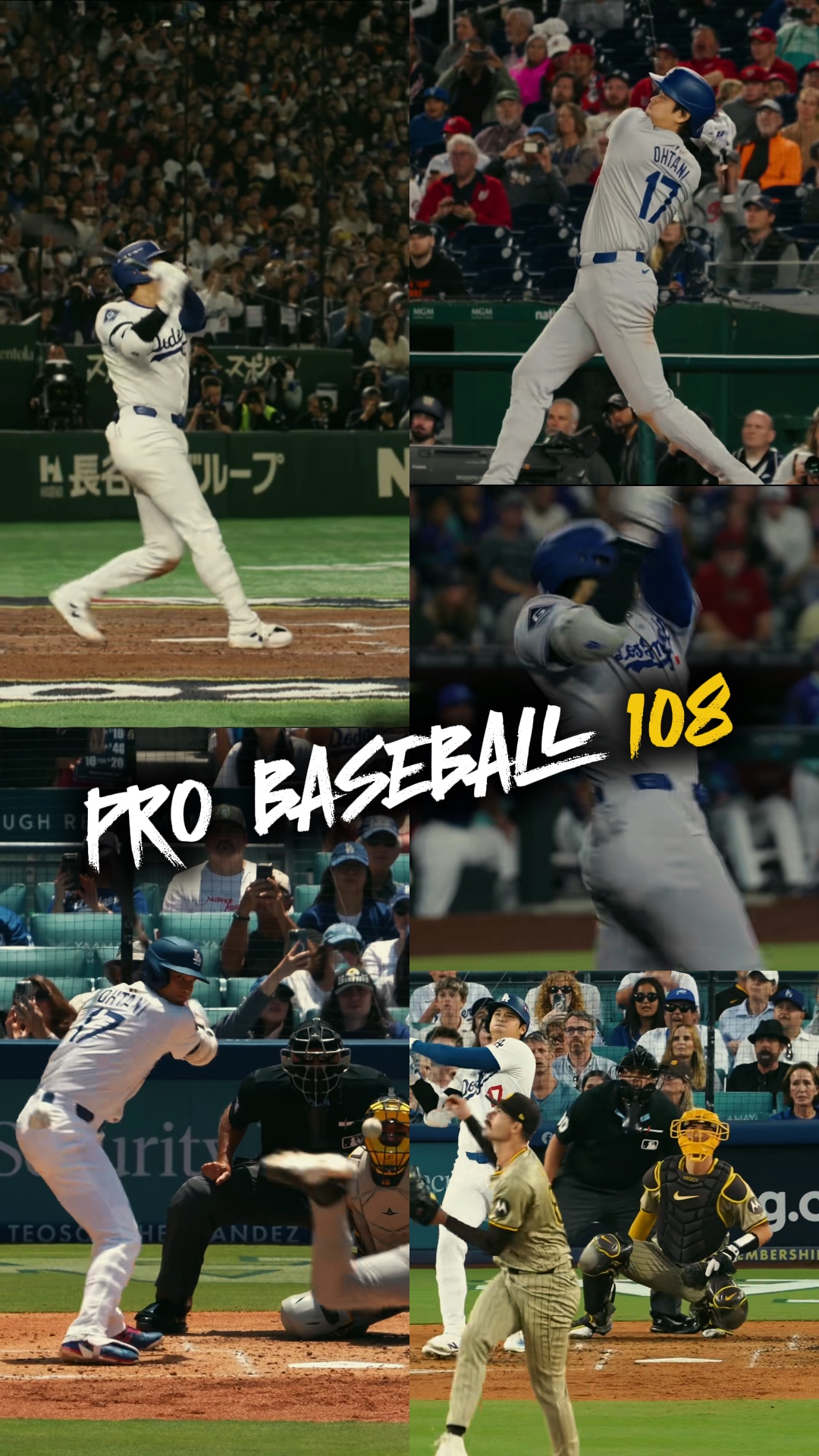 BÉISBOL PROFESIONAL
