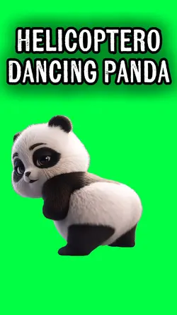 HELICOPTERO PANDA
