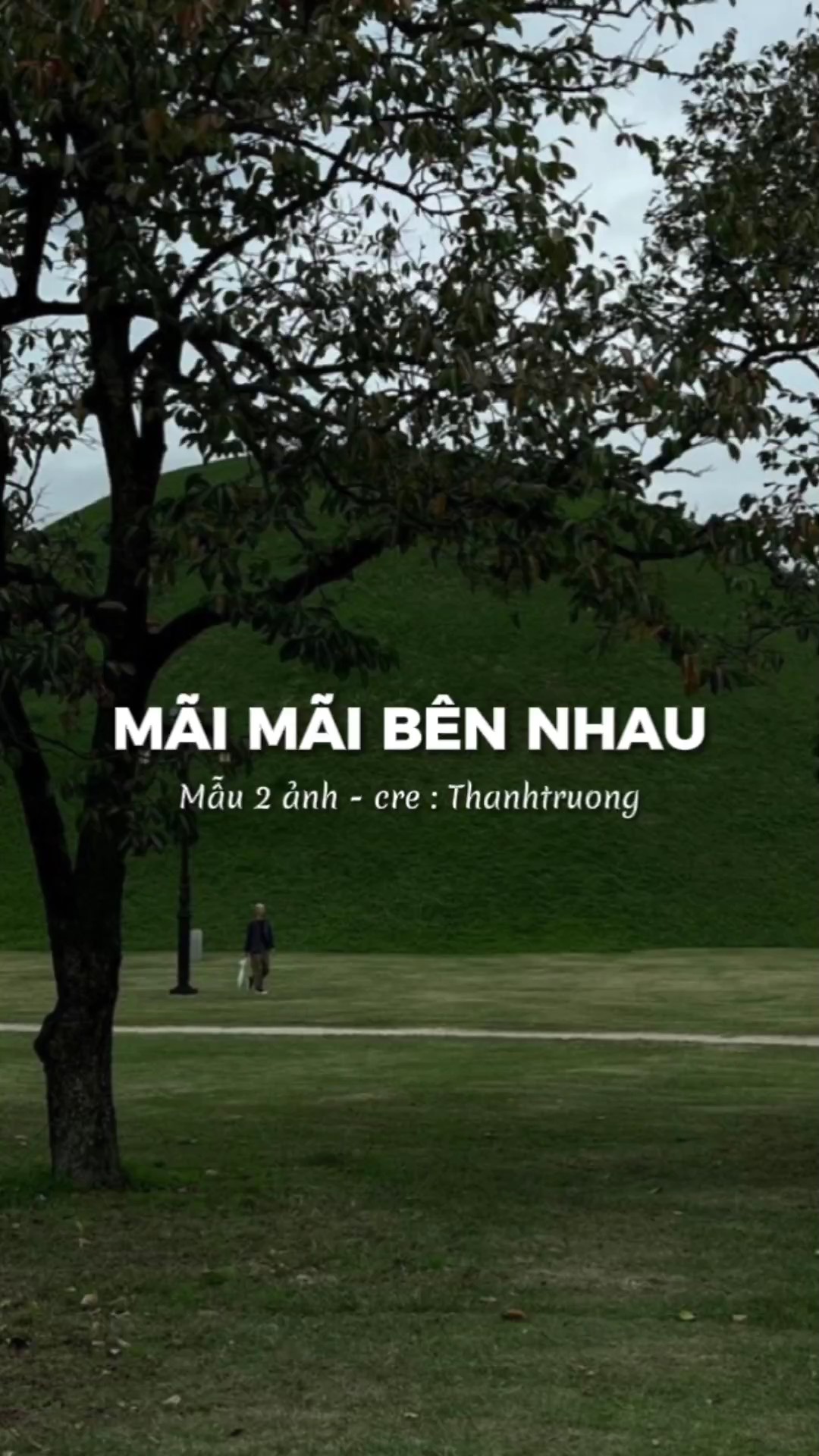 [2] ảnh cuốn