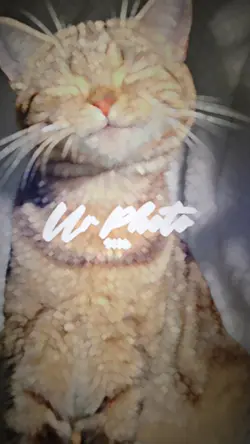 เจ่งๆจั๊บๆ ตามจังหวะ