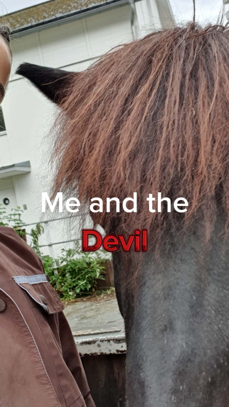 Horses<3