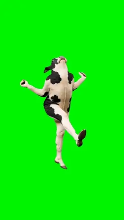 COW DANCING