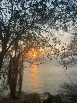 Mẫu chuyển 80 ảnh