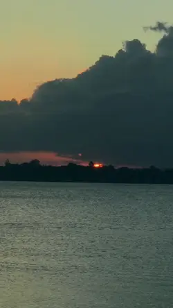 fireflies - owl city