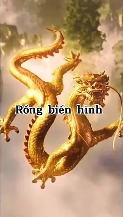 Rồng biến hình 