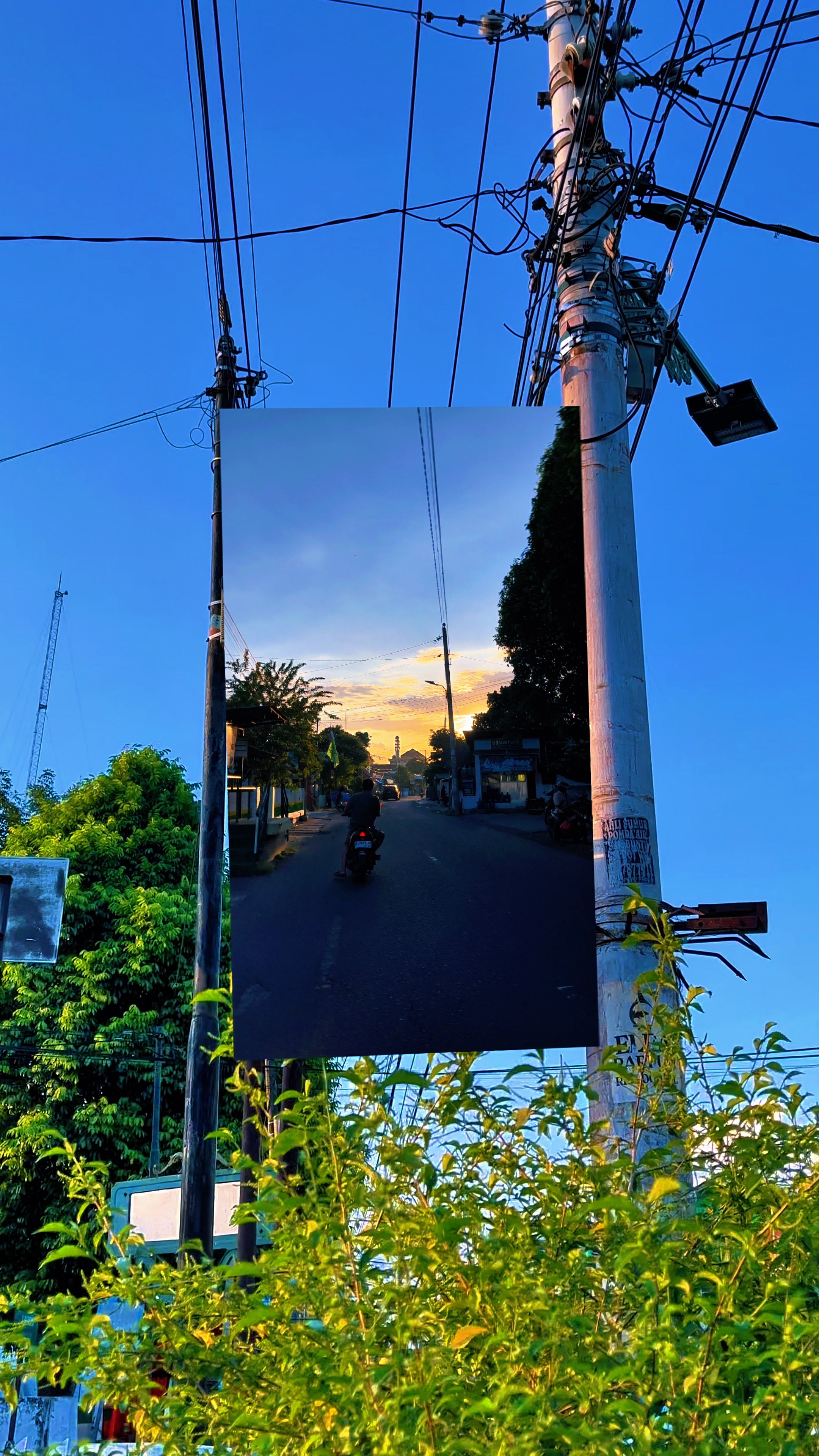 Cover Picture
