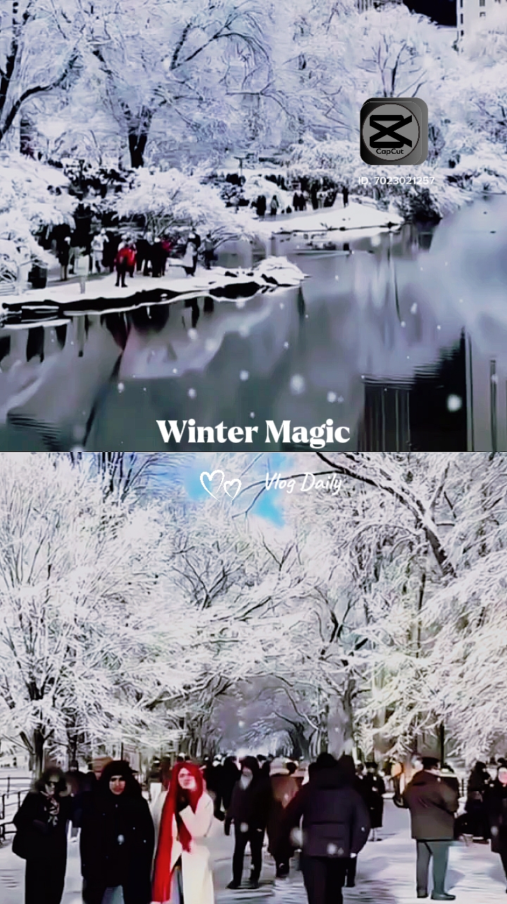 Magia de inverno 