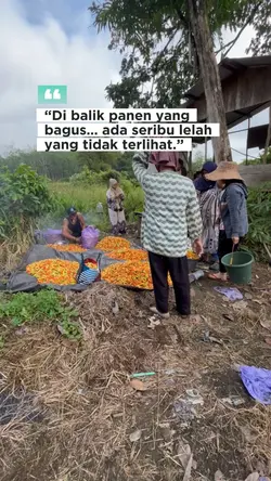 cerita petani